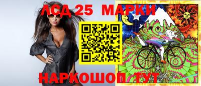 гидра Можга