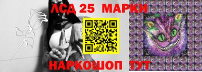 гидра Можга